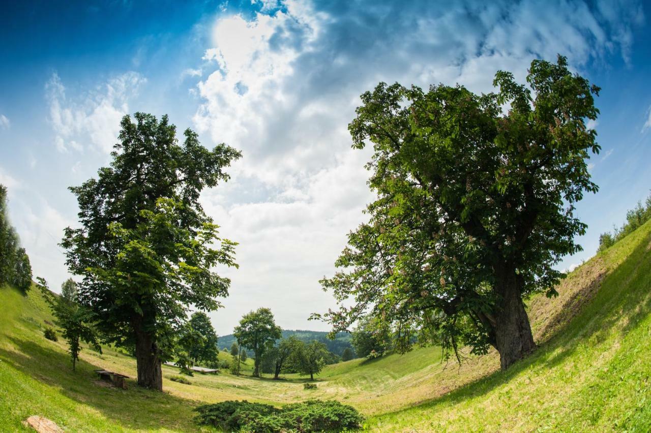 Potoczek 19 Villa Międzylesie Buitenkant foto