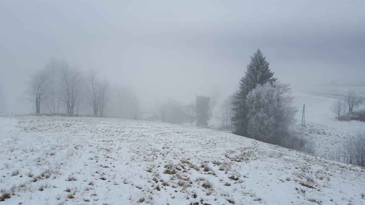 Potoczek 19 Villa Międzylesie Buitenkant foto