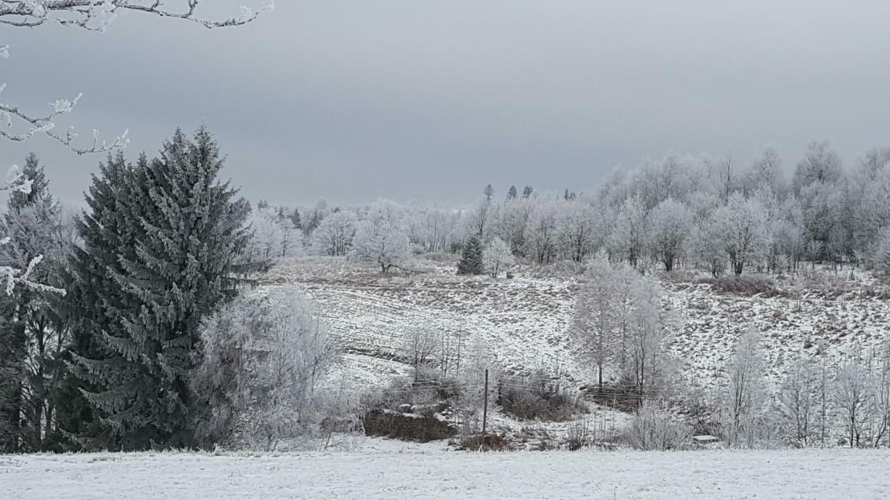 Potoczek 19 Villa Międzylesie Buitenkant foto