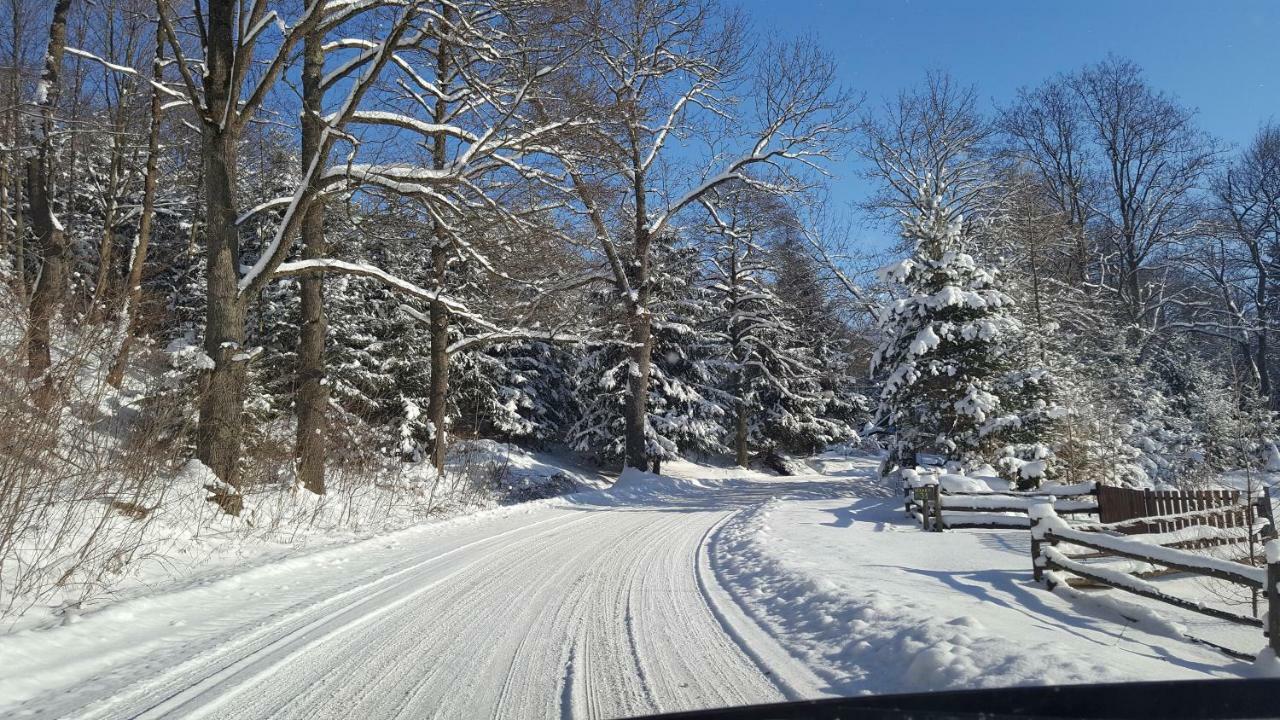 Potoczek 19 Villa Międzylesie Buitenkant foto