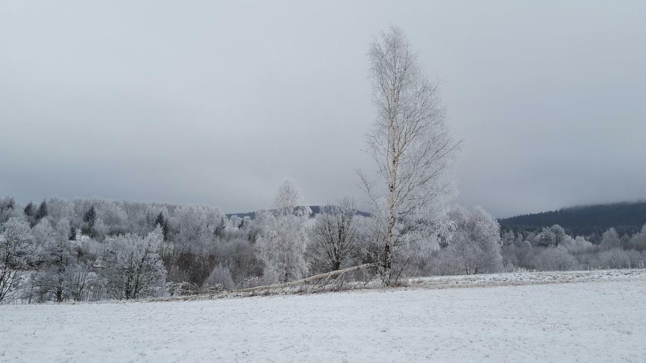 Potoczek 19 Villa Międzylesie Buitenkant foto